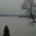 blogsee2